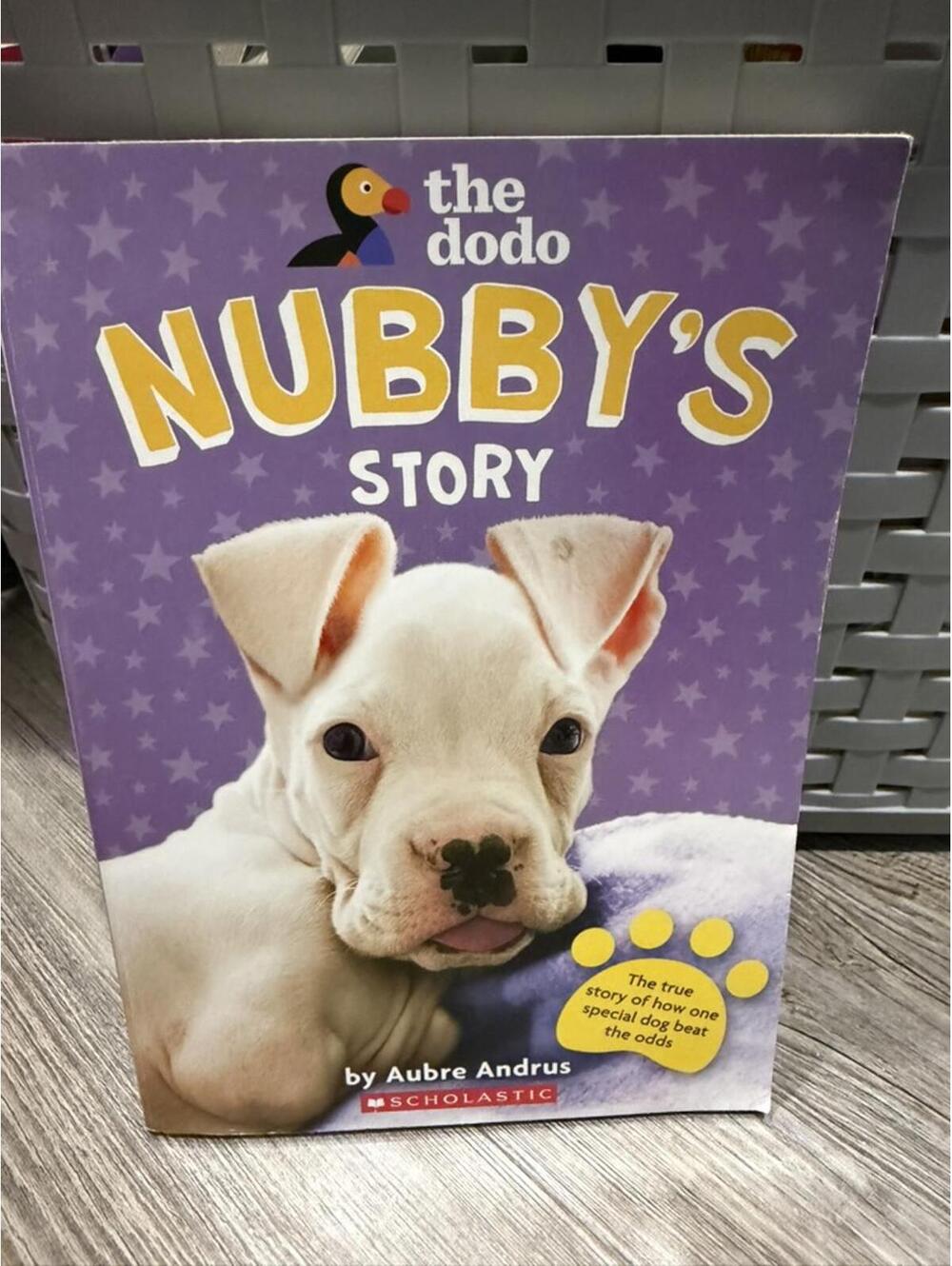 Nubby's Story Book by Aubre Andrus  Book